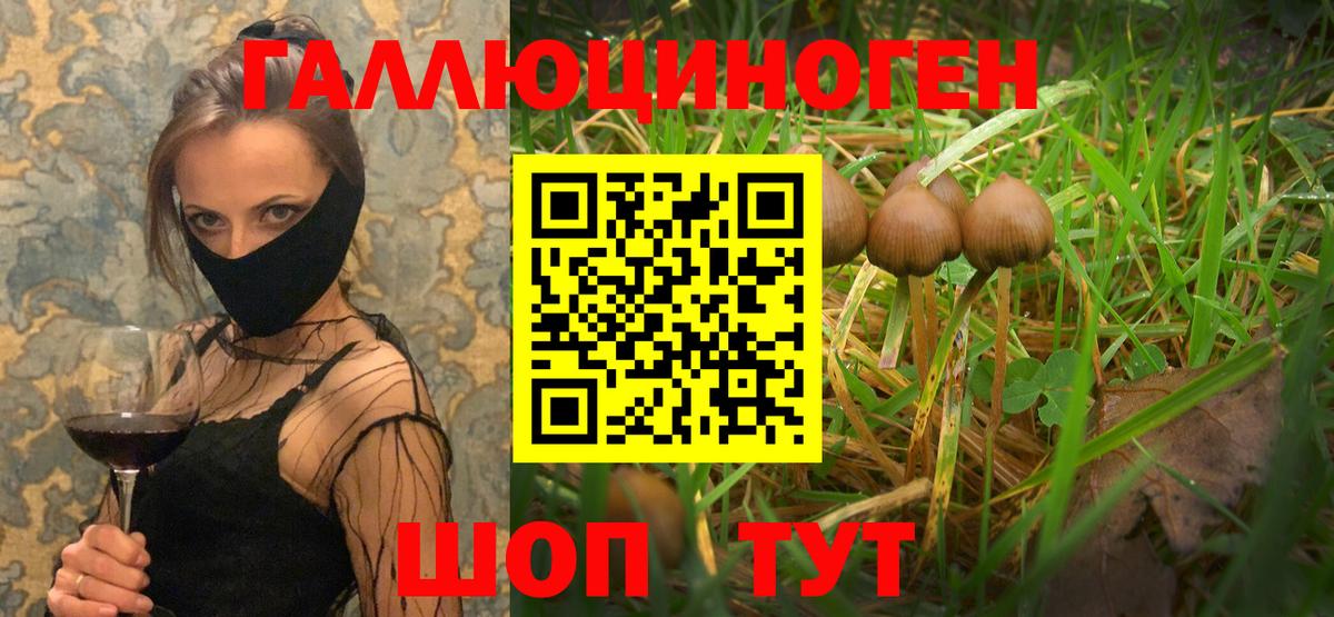 Псилоцибиновые грибы мухоморы Белореченск