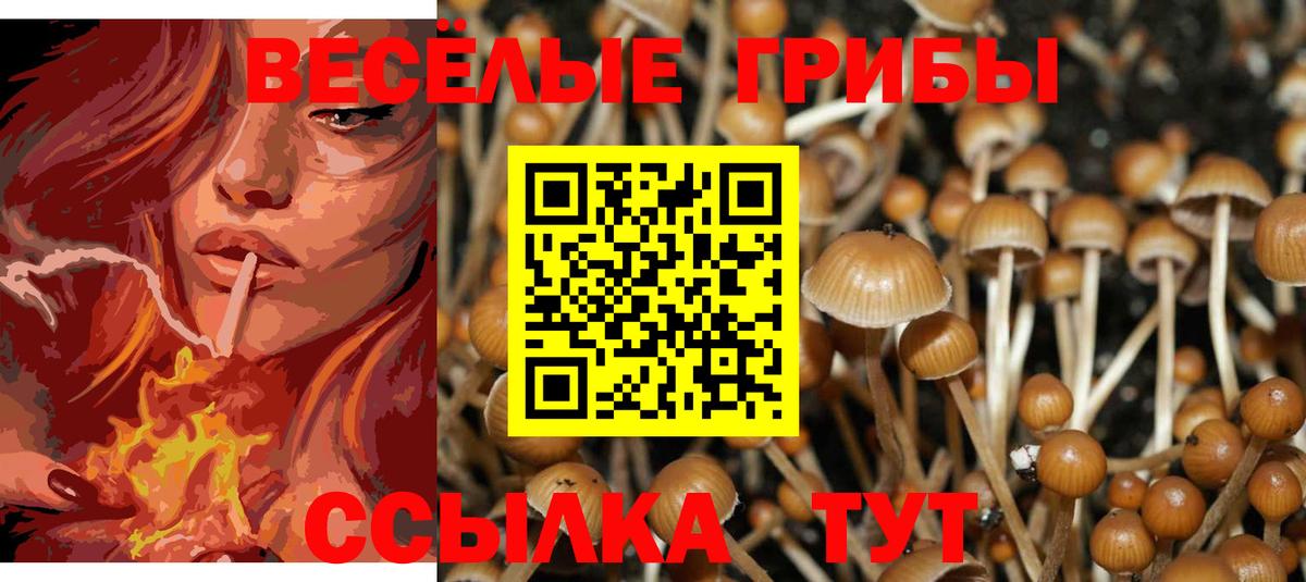 Белореченск  Галлюциногенные грибы мицелий  Вход с VPN 
